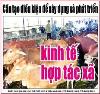 Thành lập hợp tác xã